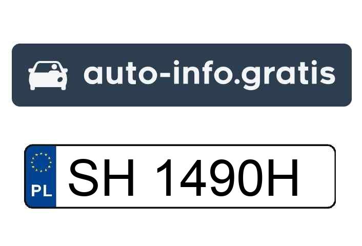 Ta pani wsadziła dzieci do auta i pojechała