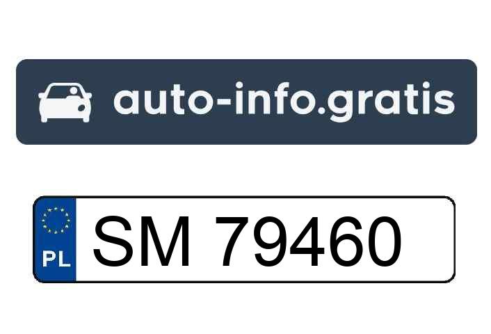 Tym Seatem w kolorze czerwonym grupa nastolatków skradła paliwo z stacji benzynowej