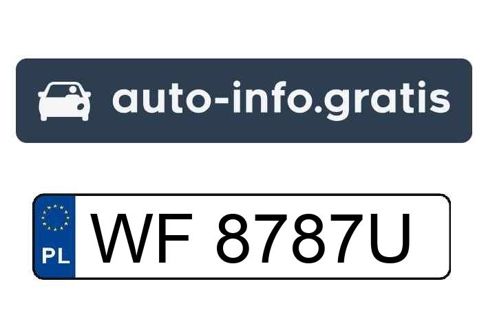 Cały czas parkuje na miejscu dla samochodów dostawczych