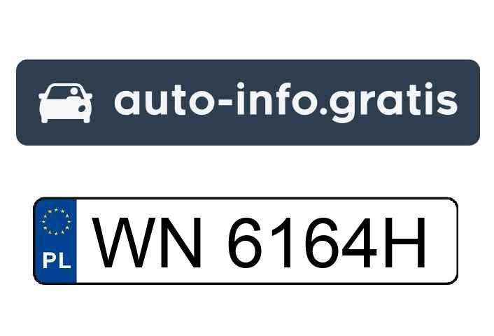 Mistrz parkowania w pojeździe o numerach WN6164H