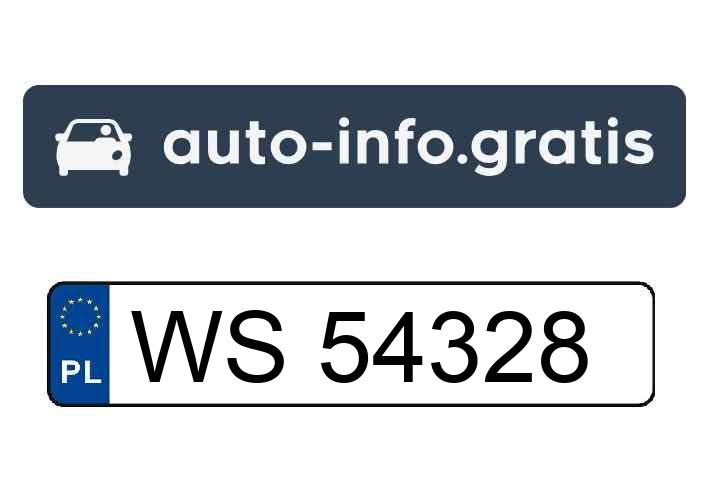Mistrz parkowania w pojeździe o numerach WS54328