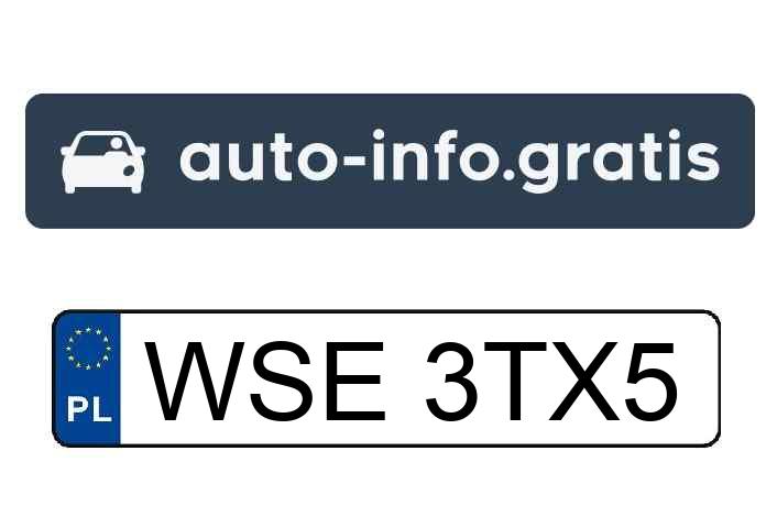 Mistrz parkowania w pojeździe o numerach WSE3TX5