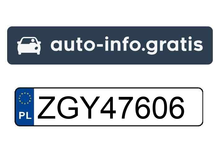 Auto złodzieja