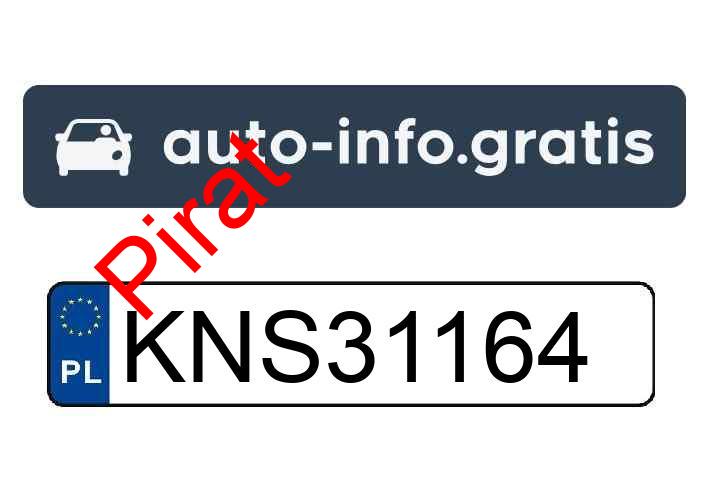 Idiota za kierownicą