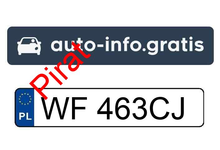 Pirat drogowy<BR>