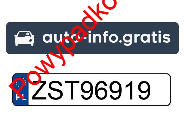 Pojazd o numerach ZST96919 uczestniczył w wypadku