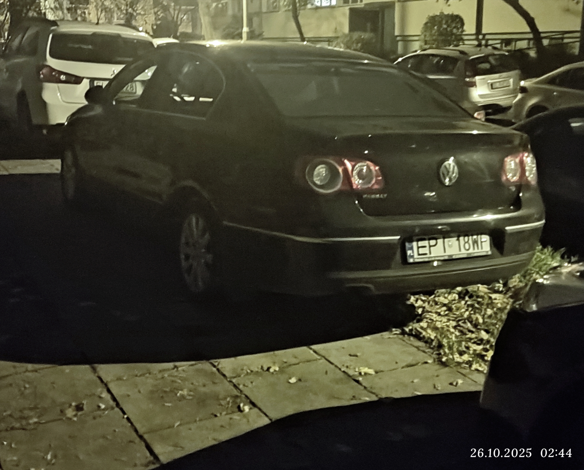 Mistrz parkowania w pojeździe o numerach EPI18WF