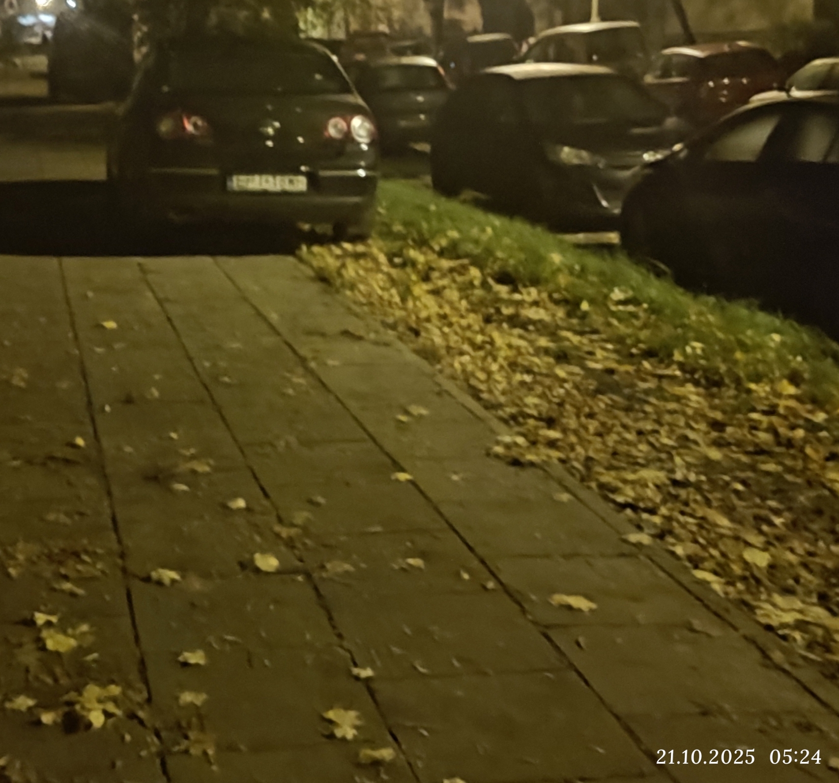 Mistrz parkowania w pojeździe o numerach EPI18WF