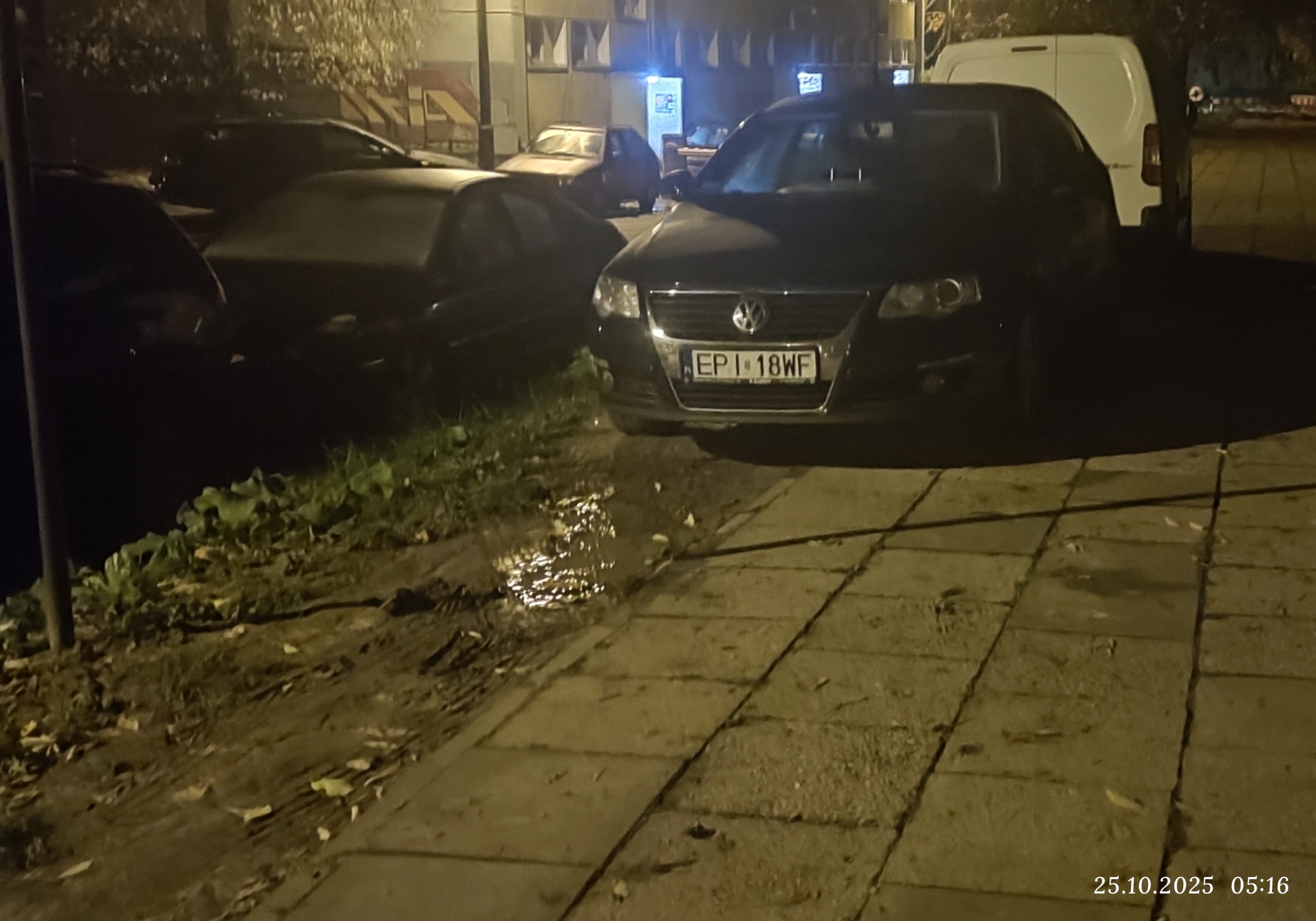 Mistrz parkowania w pojeździe o numerach EPI18WF