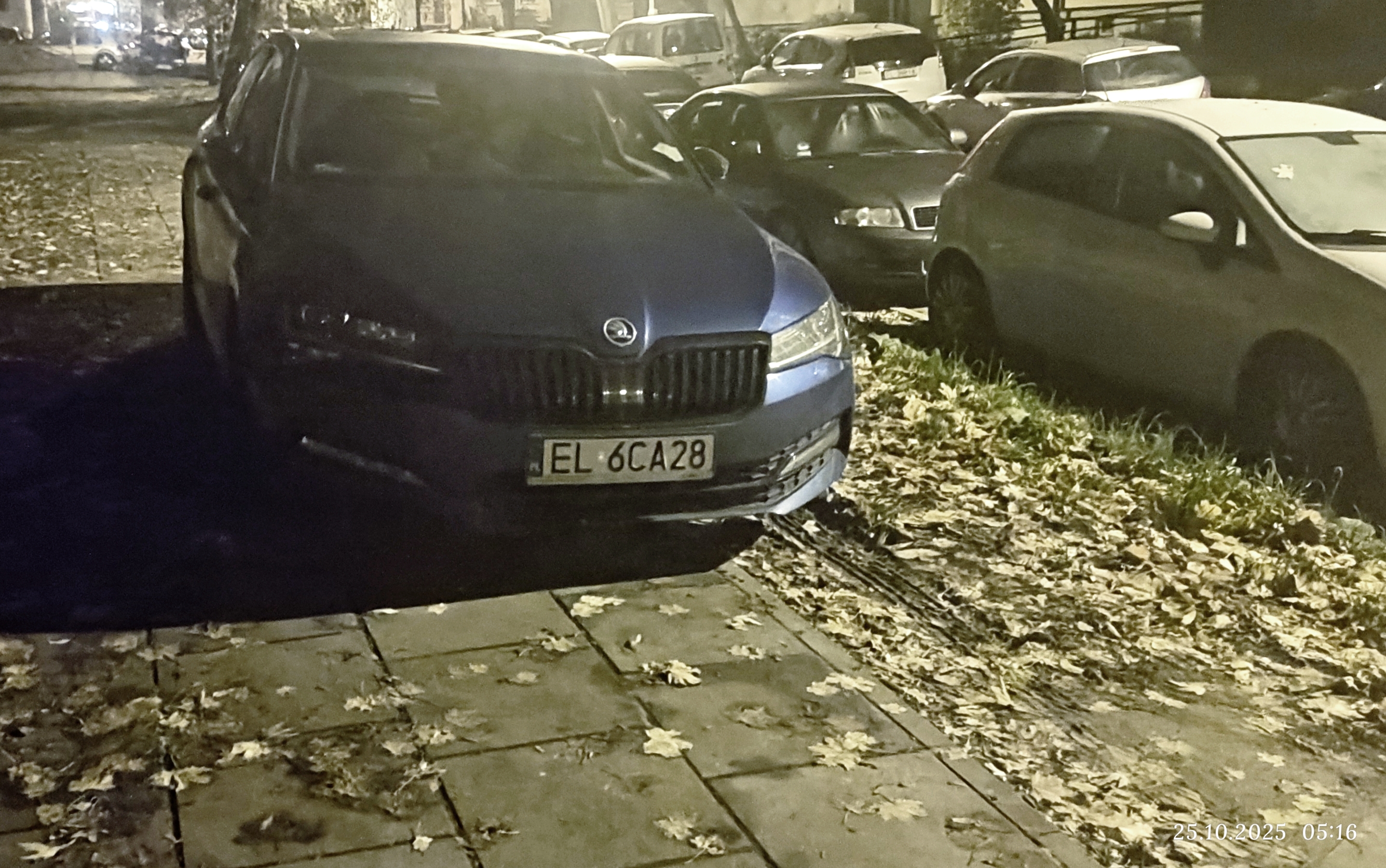 Mistrz parkowania w pojeździe o numerach EL6CA28 Mistrz parkowania w pojeździe o numerach EL6CA28