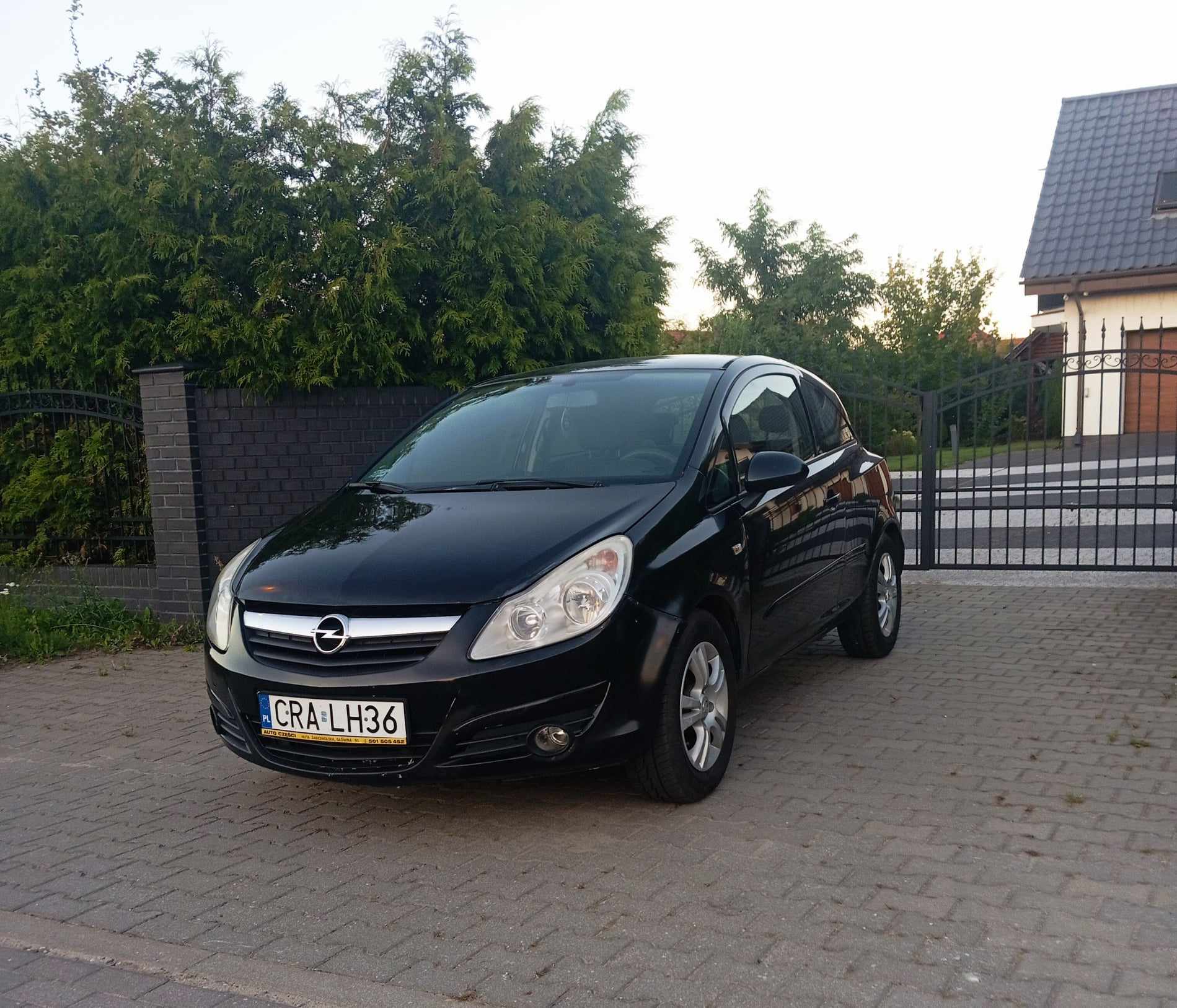 Kuny 84 pod Koninem