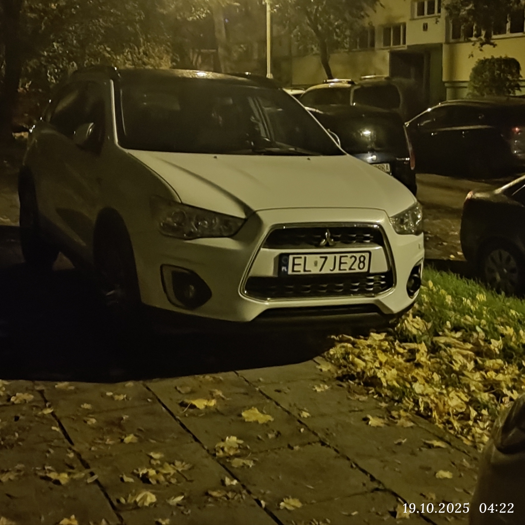 Mistrz parkowania w pojeździe o numerach EL7JE28