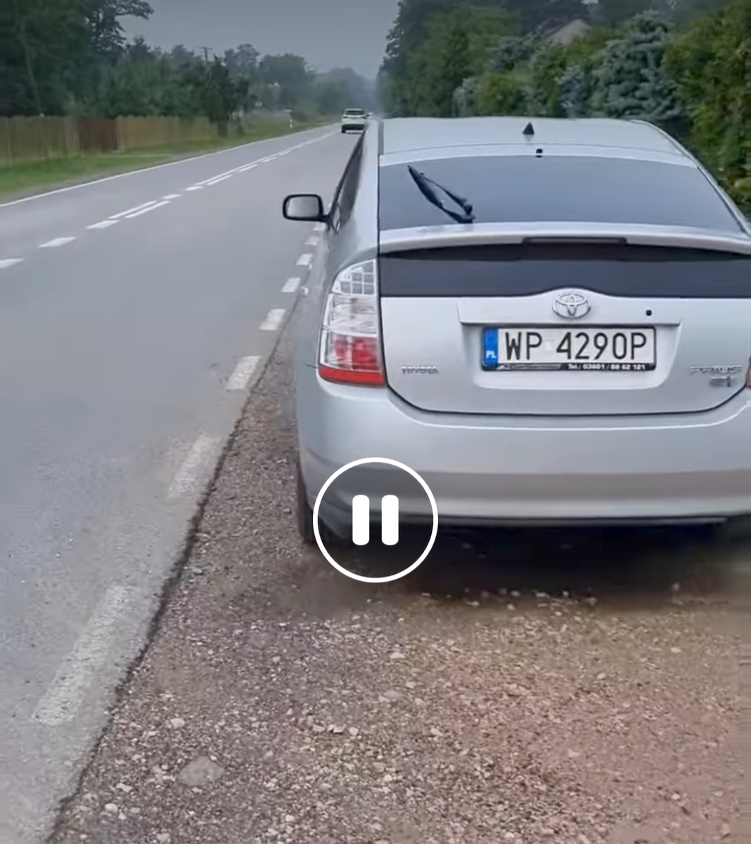 Mistrz parkowania w pojeździe o numerach WP4290P
