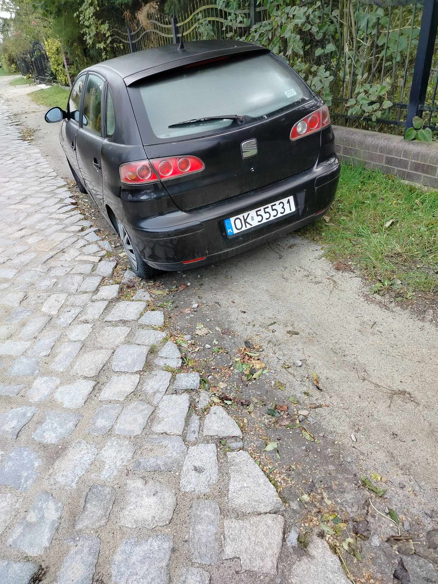 Mistrz parkowania w pojeździe o numerach OK55531