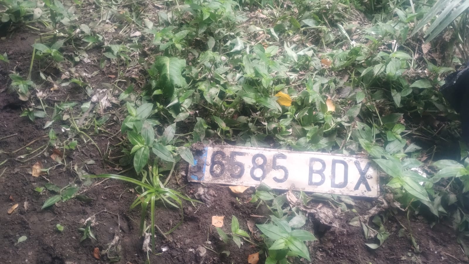 Znaleziono tablicę rejestracyjną o numerach 6585BDX