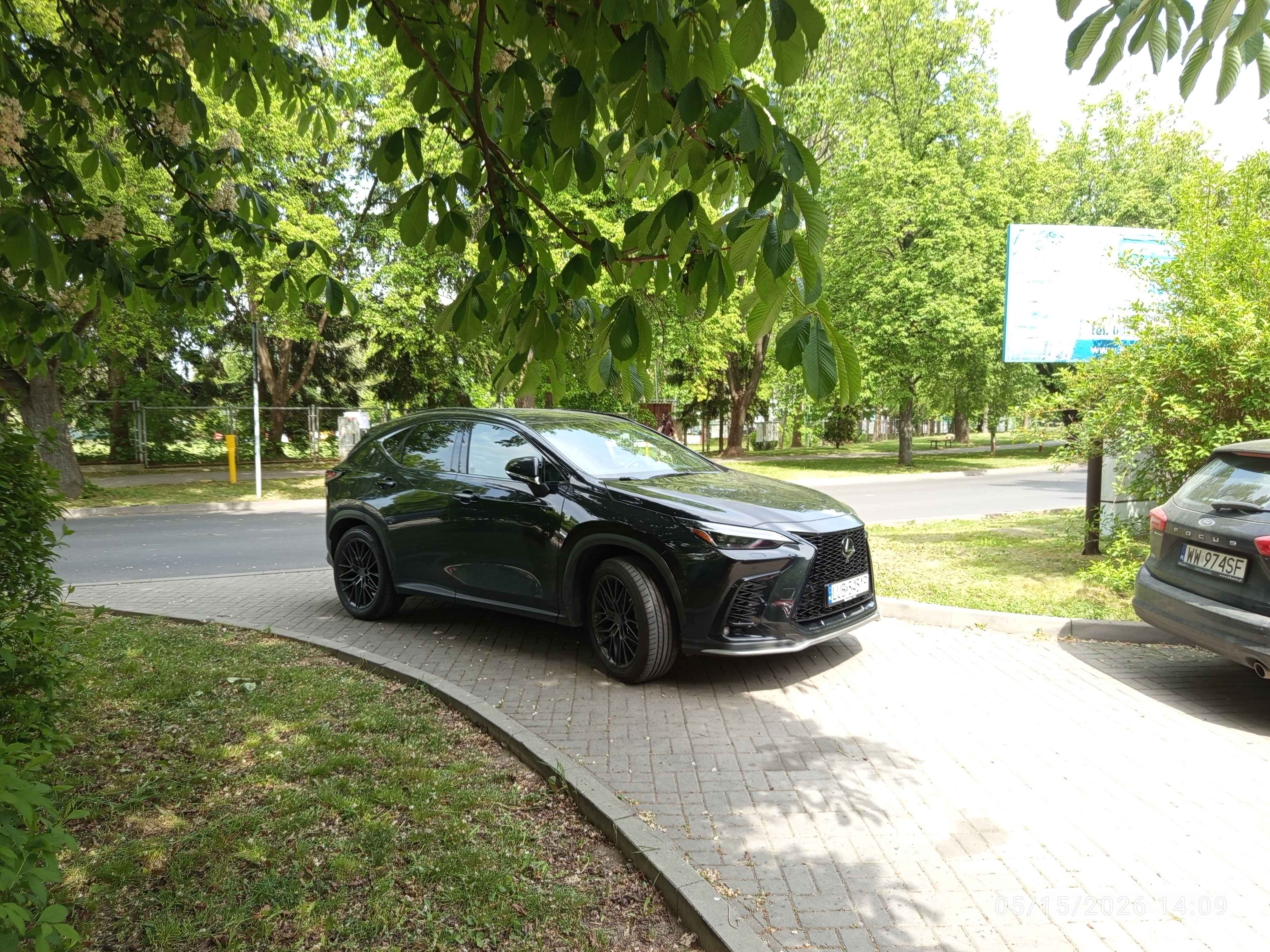 Mistrz parkowania w pojeździe o numerach LUB5451P