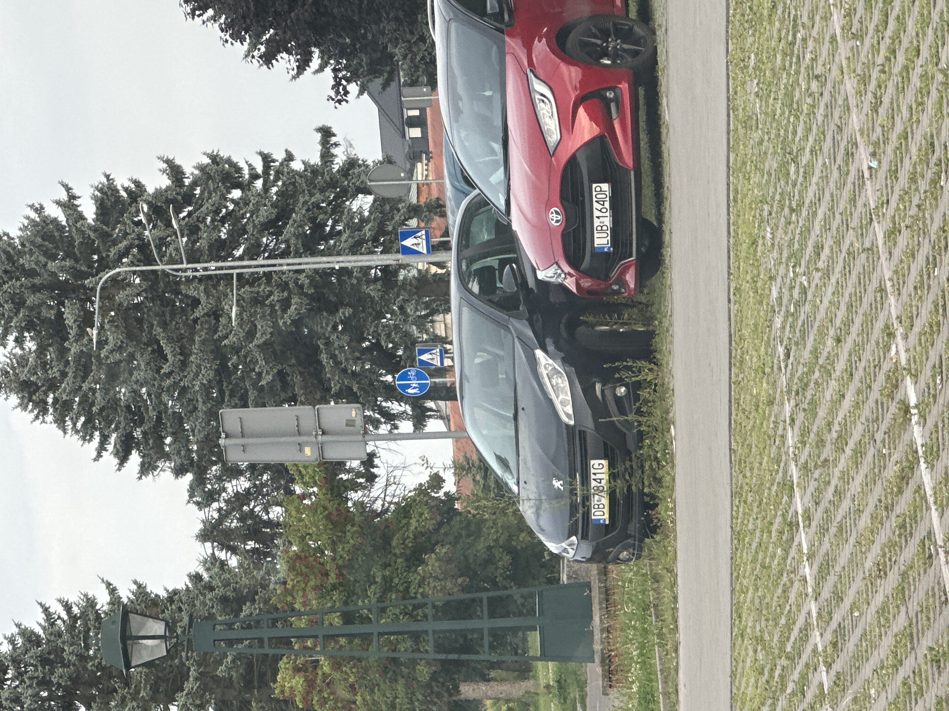 Mistrz parkowania w pojeździe o numerach DB7841G