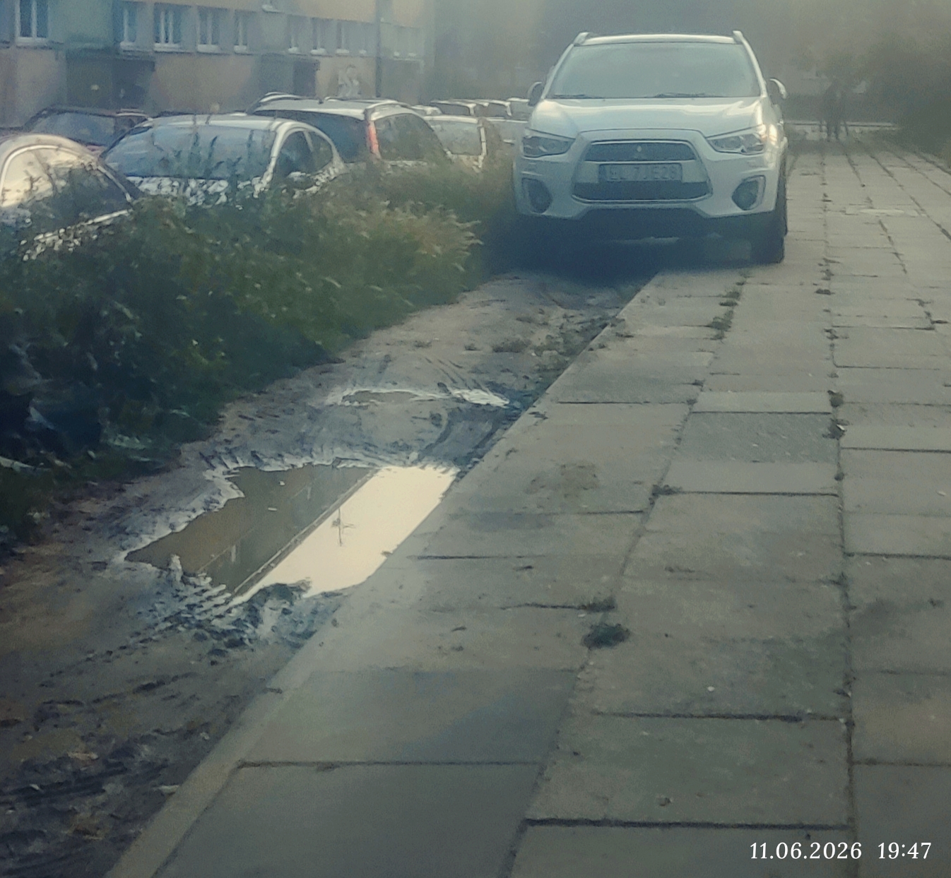 Mistrz parkowania w pojeździe o numerach EL7JE28