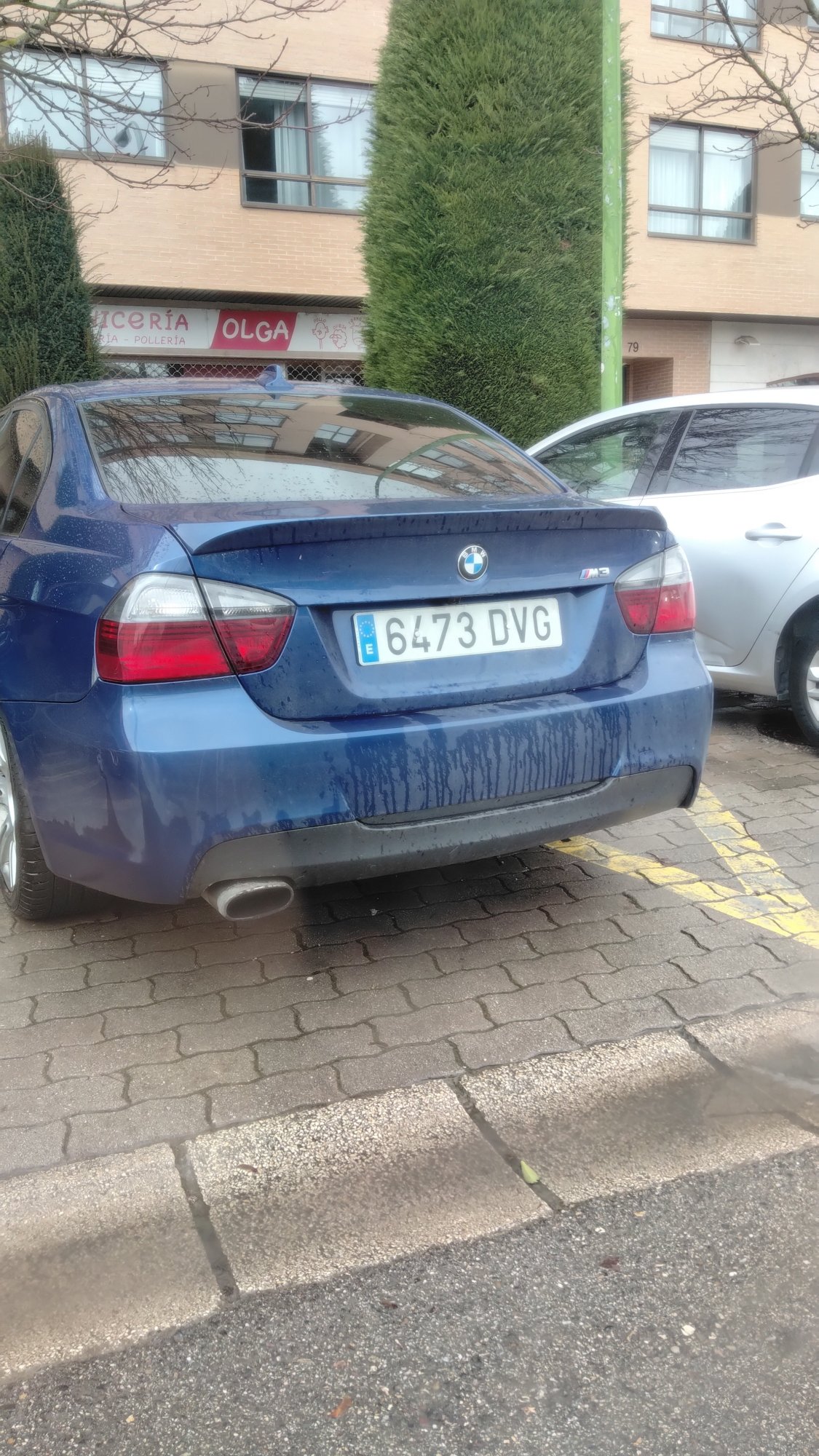 Numer rejestracyjny 6473DVG posiada BMW SERIE 3