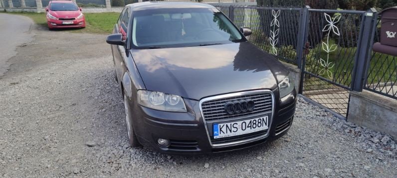 Numer rejestracyjny KNS 0488N posiada AUDI A3 2.0 TDi MR`06 E4 8P Ambiente - KNS0488N