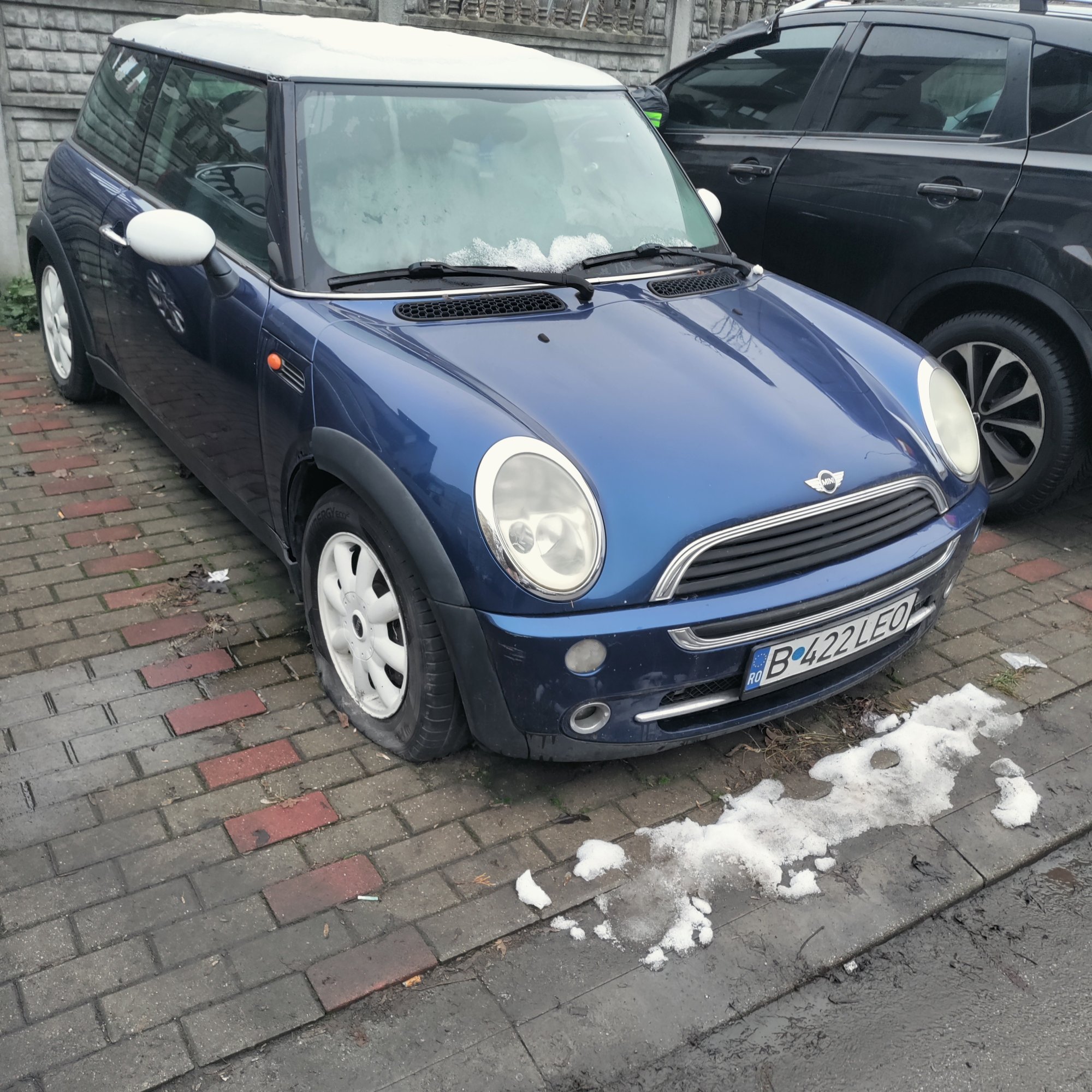 Numer rejestracyjny B422LEO posiada Mini 