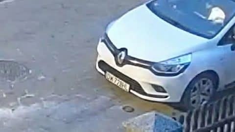 Numer rejestracyjny DM778ML posiada VOLKSWAGEN Golf 5a serie Golf 1.9 TDI DPF 5P 5m. GT Sport (77 kw) Numer rejestracyjny DM778ML posiada VOLKSWAGEN Golf 5a serie Golf 1.9 TDI DPF 5P 5m. GT Sport (77 kw)