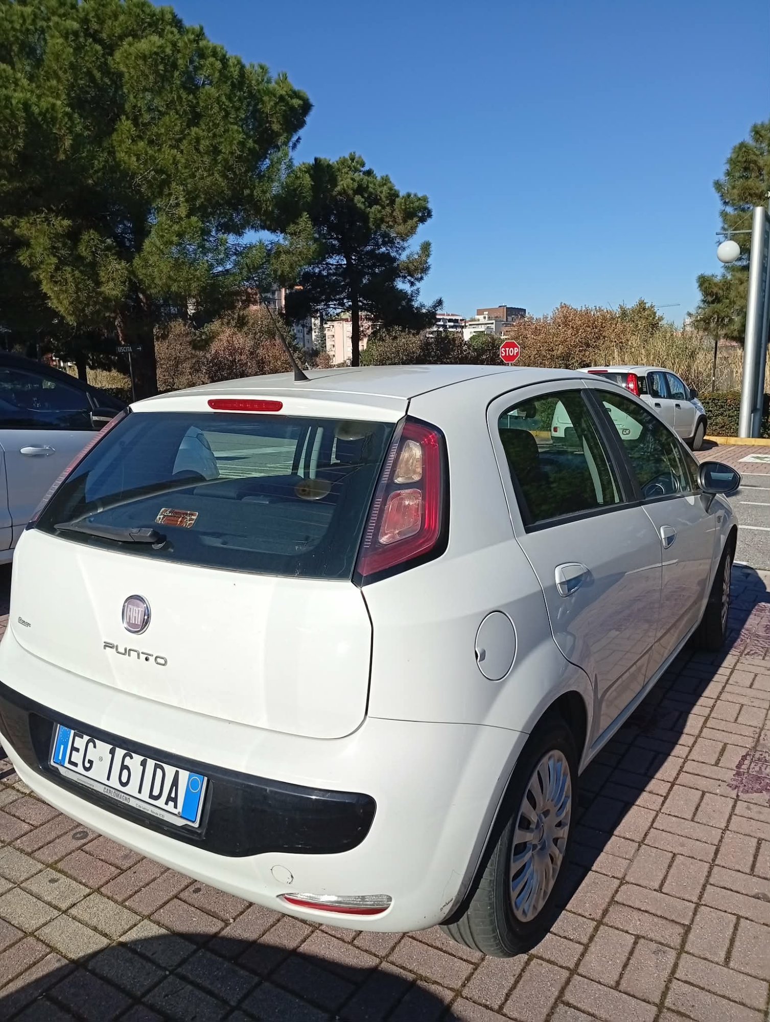 Numer rejestracyjny EG161DA posiada FIAT Punto Evo