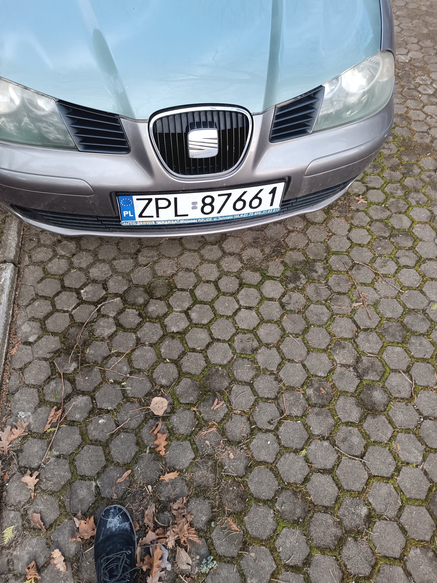 Numer rejestracyjny ZPL 87661 posiada SEAT Ibiza 1.4 MR`02 E3 6L Fresc - ZPL87661