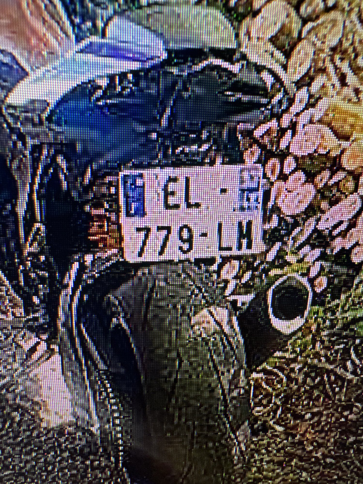 Numer rejestracyjny EL 779LM posiada FIAT Palio Weekend 1.2 Kat. - EL779LM