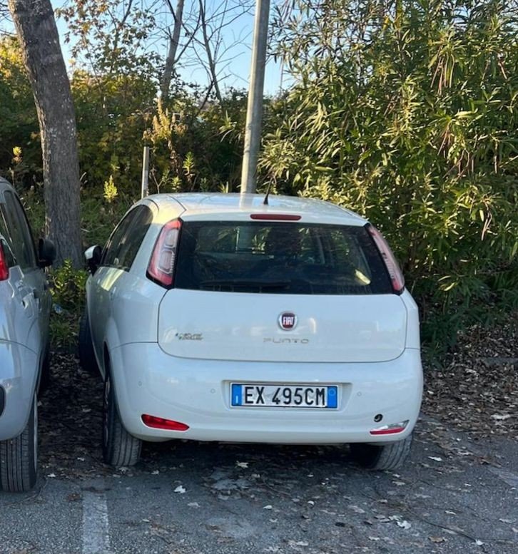 Numer rejestracyjny EX495CM posiada FIAT Punto 4a serie Numer rejestracyjny EX495CM posiada FIAT Punto 4a serie