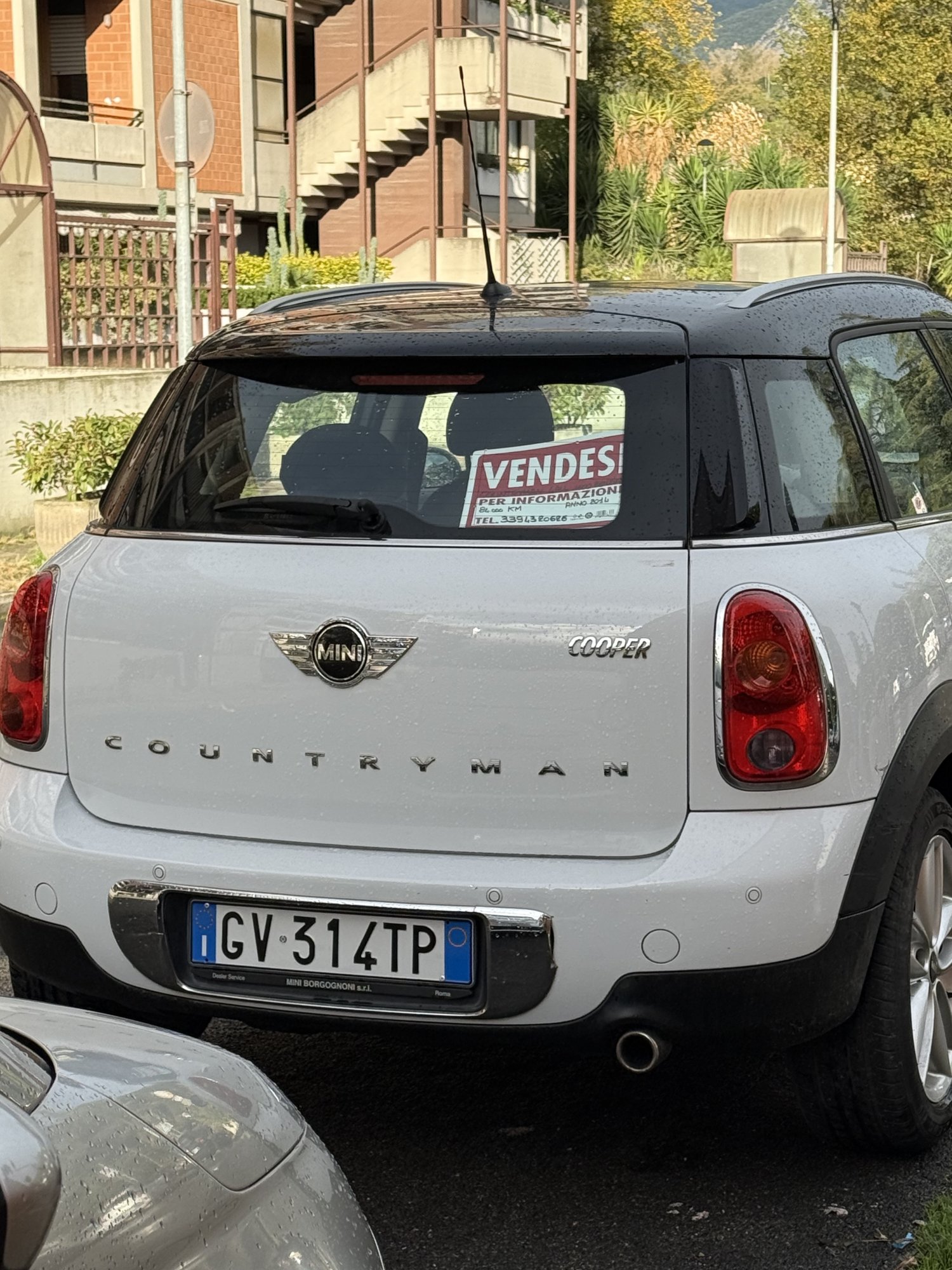 Numer rejestracyjny GV314TP posiada MINI Mini Countrym.