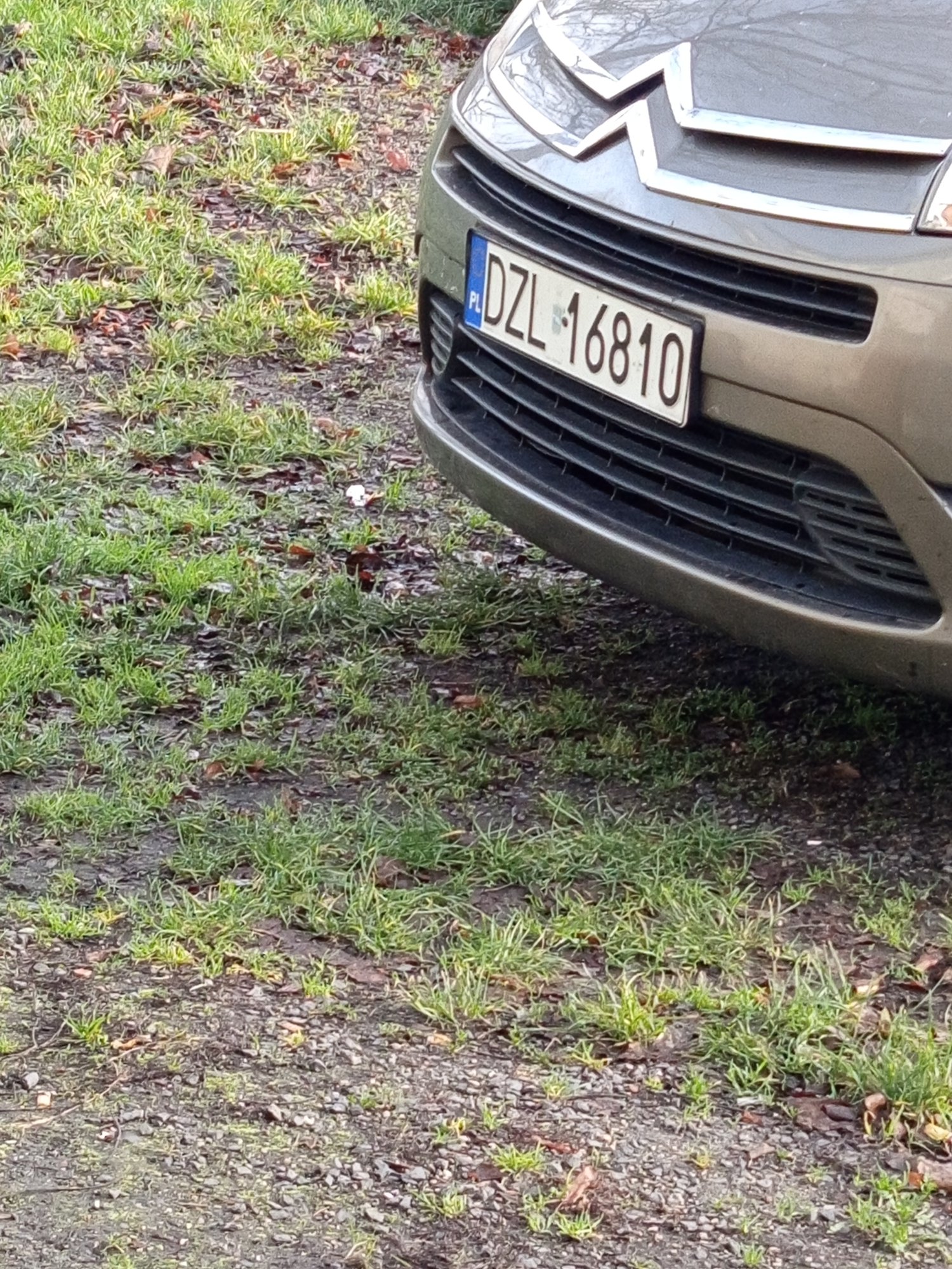 Numer rejestracyjny DZL 16810 posiada CITROEN C4 PICASSO - DZL16810