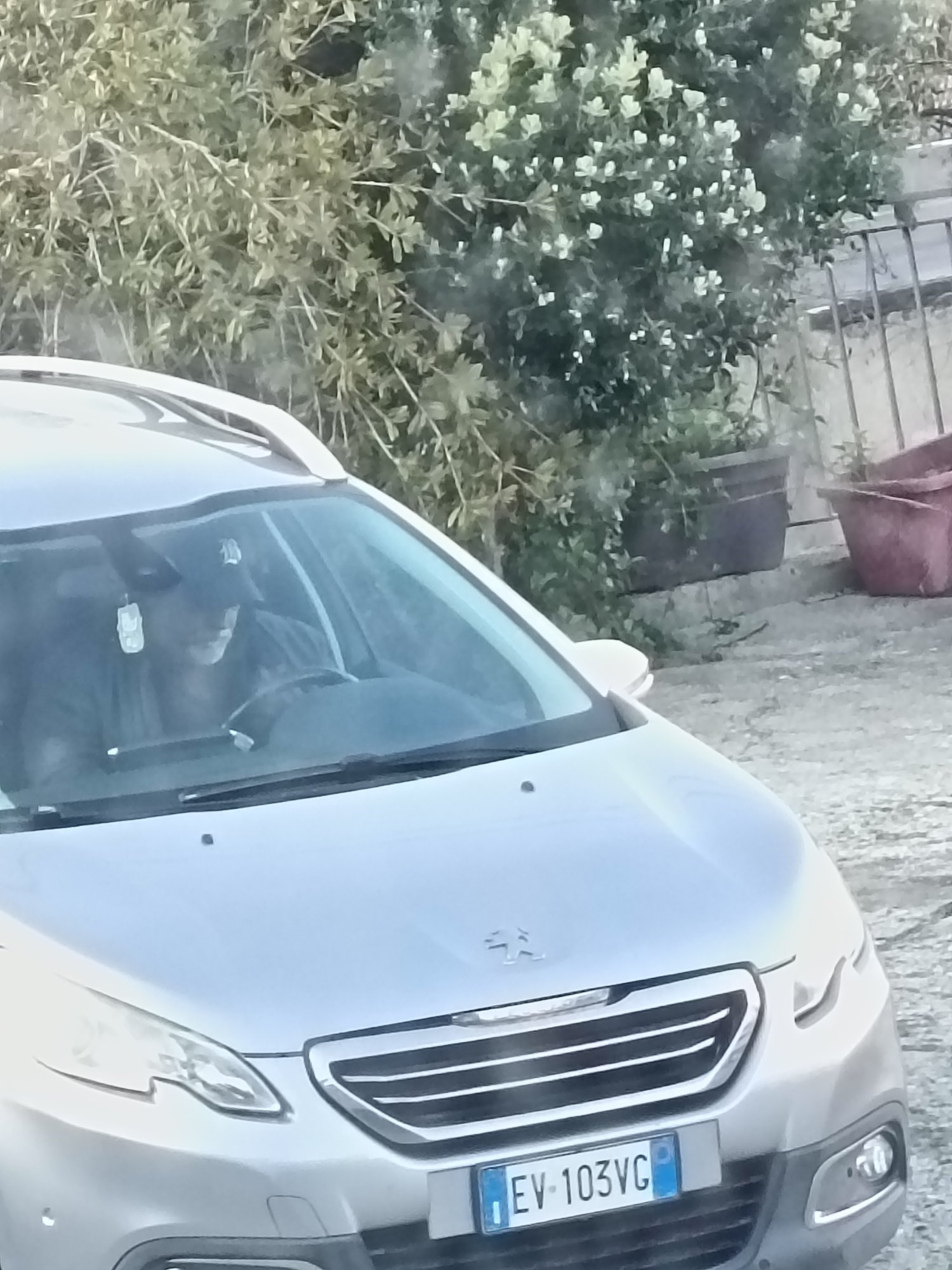 Numer rejestracyjny EV103VC posiada RENAULT Trafic 3a serie