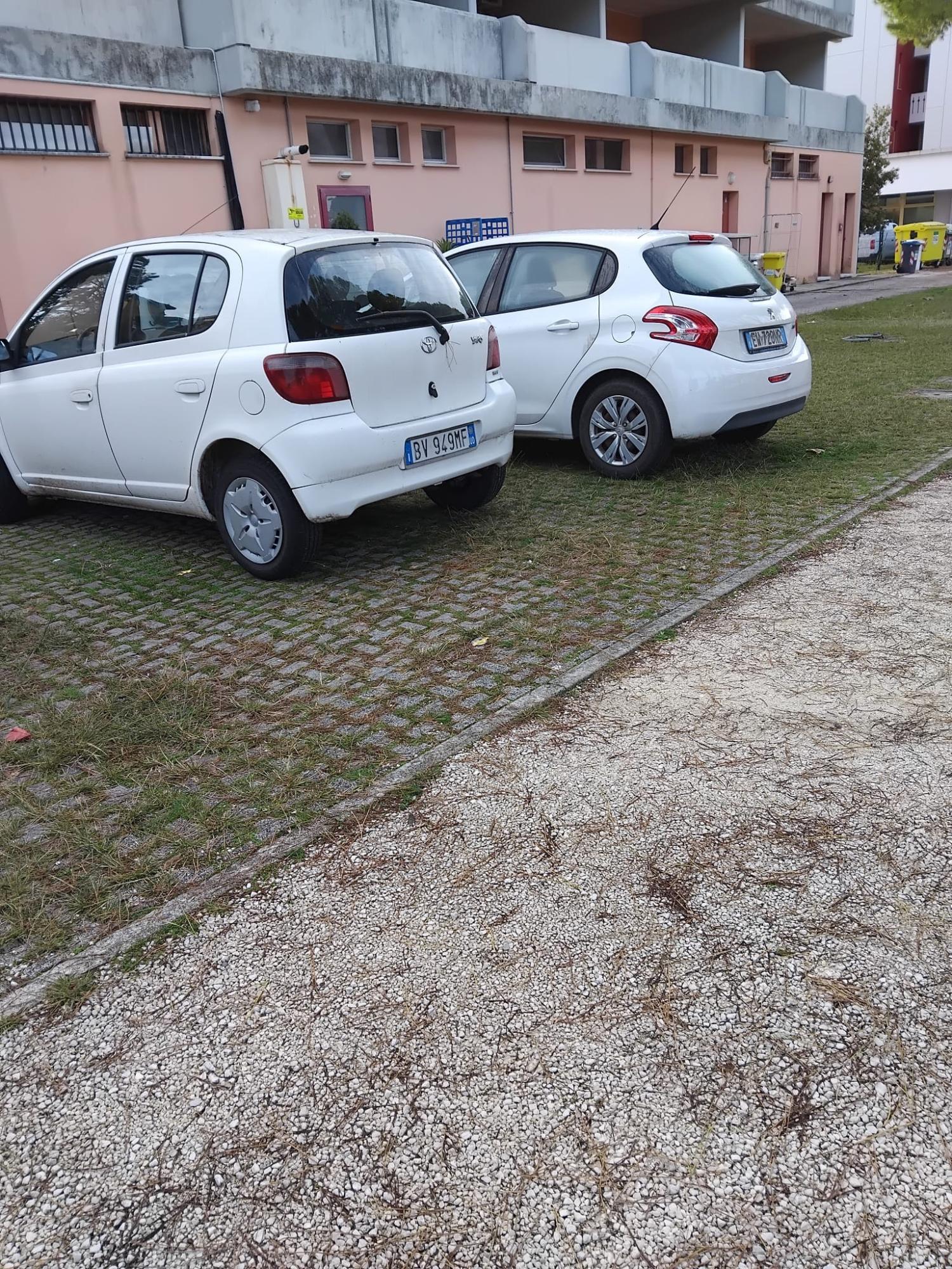 Numer rejestracyjny BV949FM posiada Toyota Yaris Numer rejestracyjny BV949FM posiada Toyota Yaris