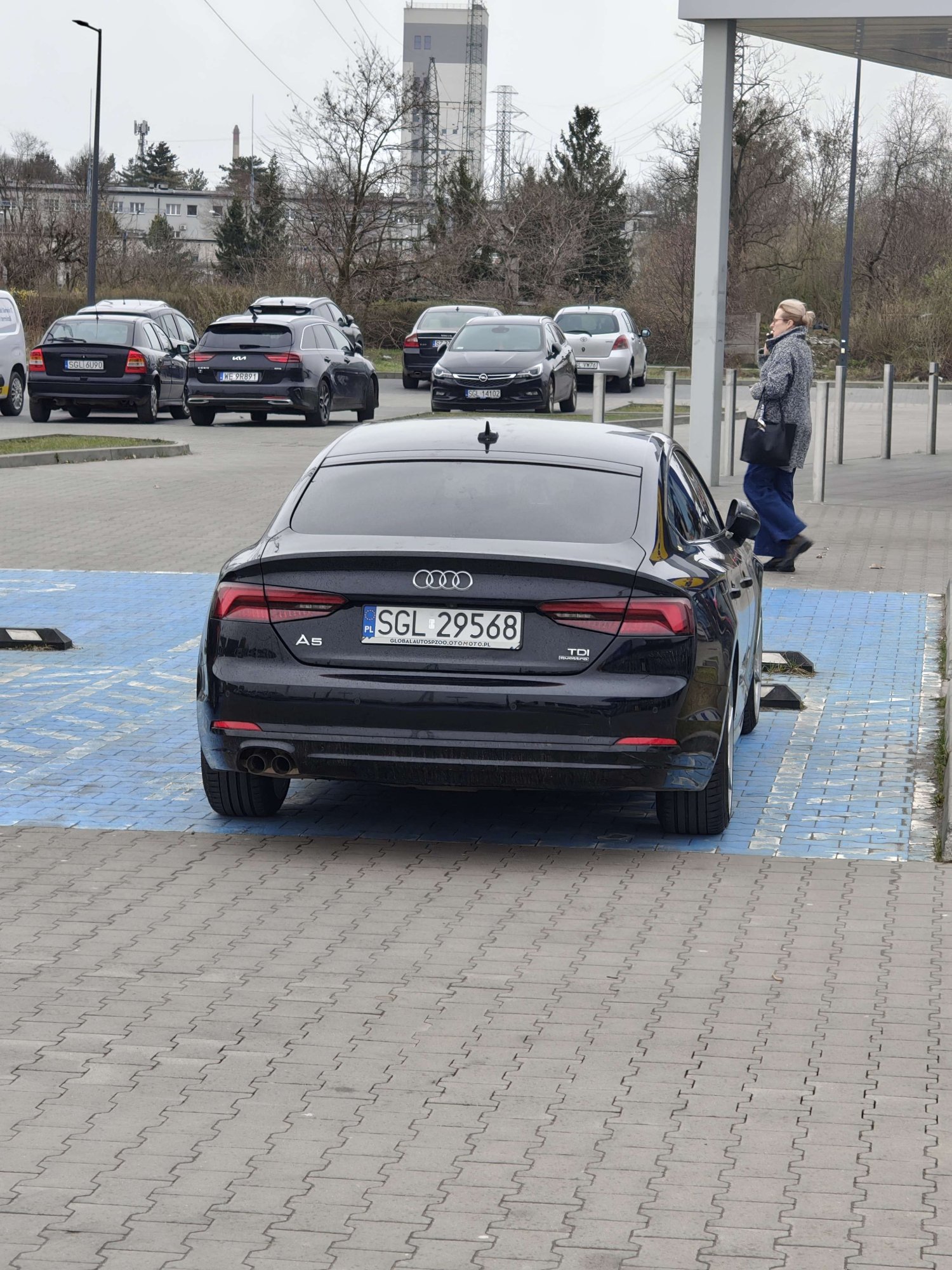 Numer rejestracyjny SGL 29568 posiada AUDI A5 Coupe 2.0 TDi MR`16 E6 B9 Sport - SGL29568
