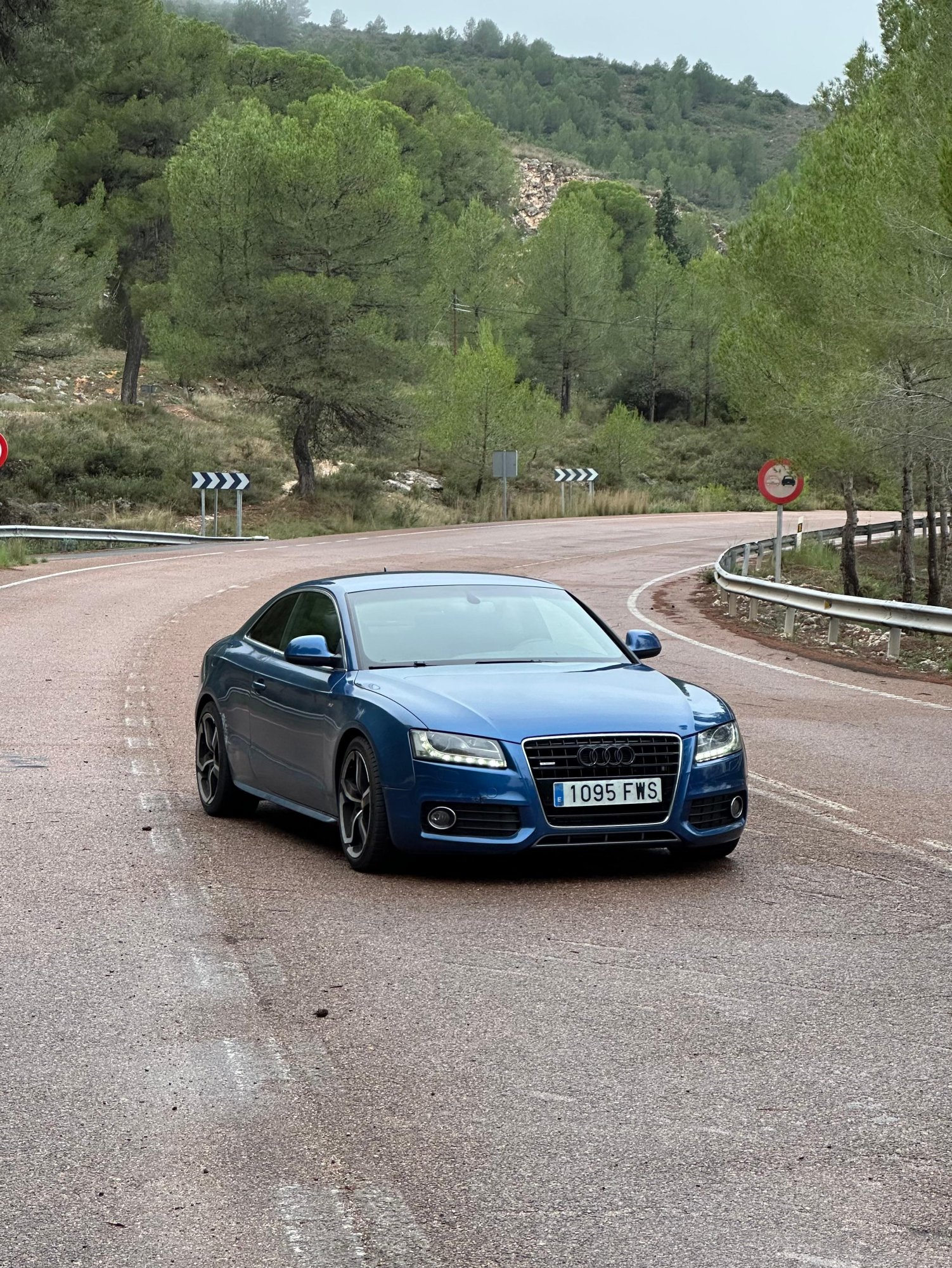 Numer rejestracyjny 1095FWS posiada AUDI A5