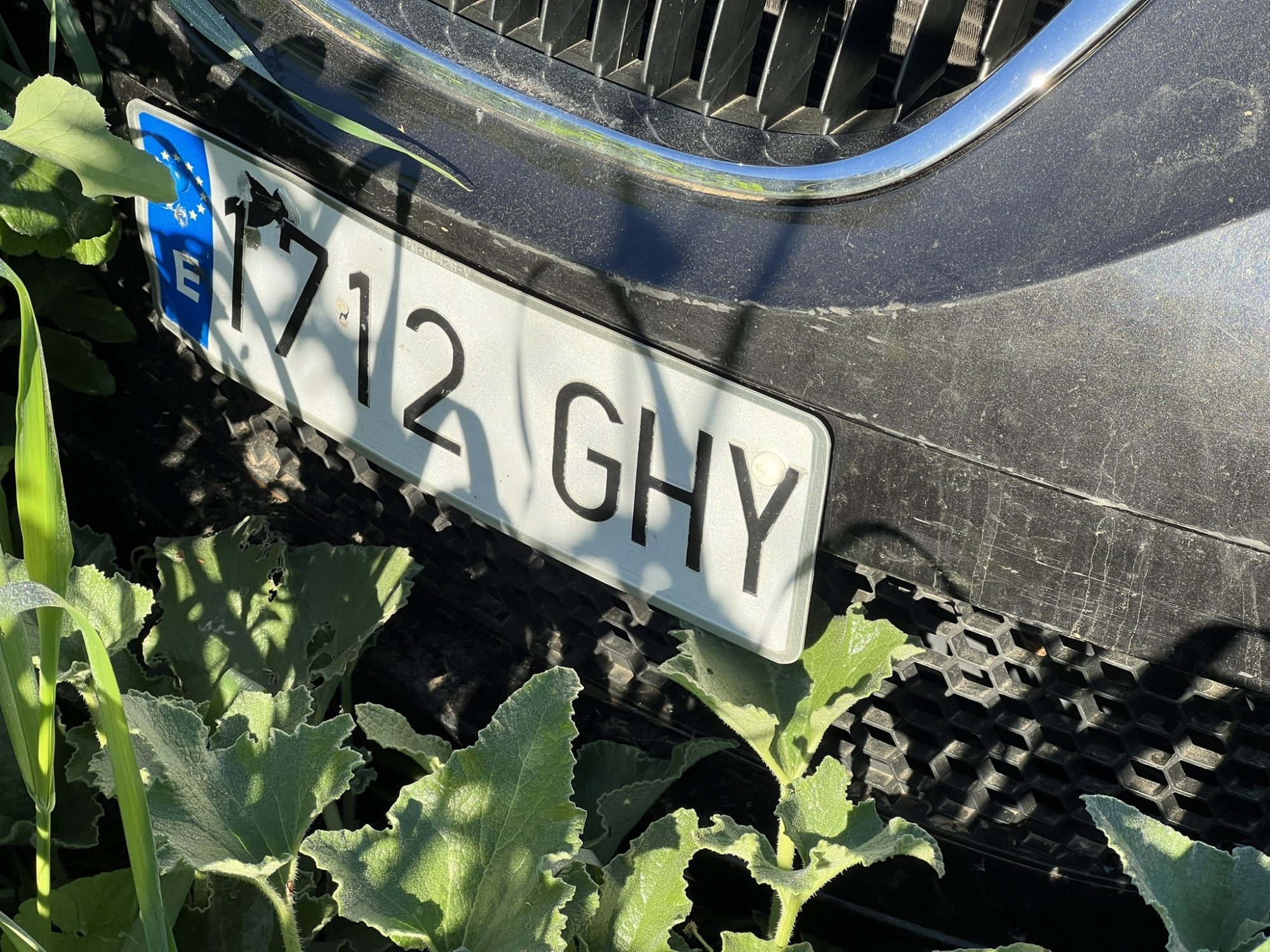 Numer rejestracyjny 1712GHY posiada SEAT LEON