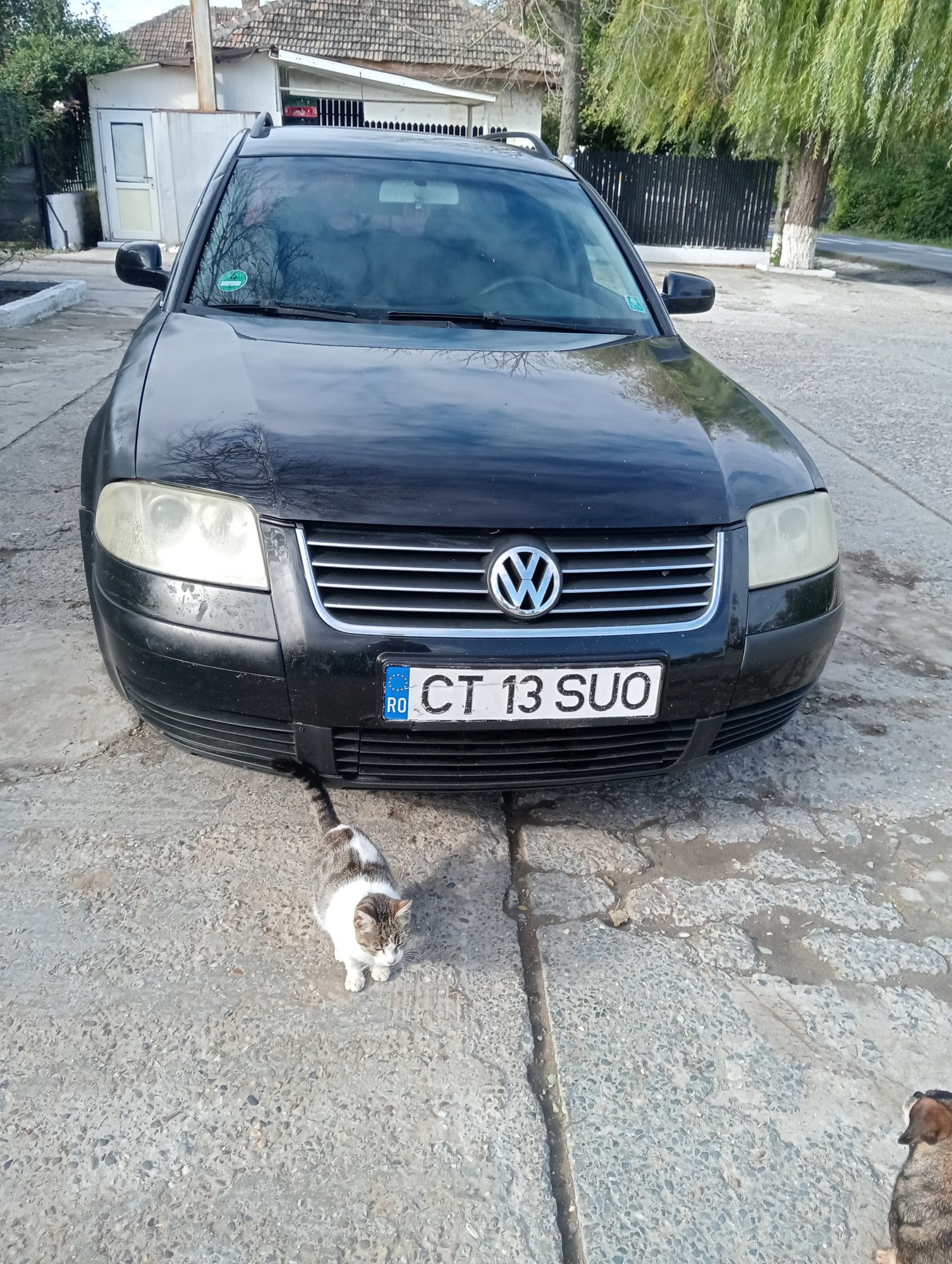 Numer rejestracyjny CT13SUO posiada Volkswagen Passat