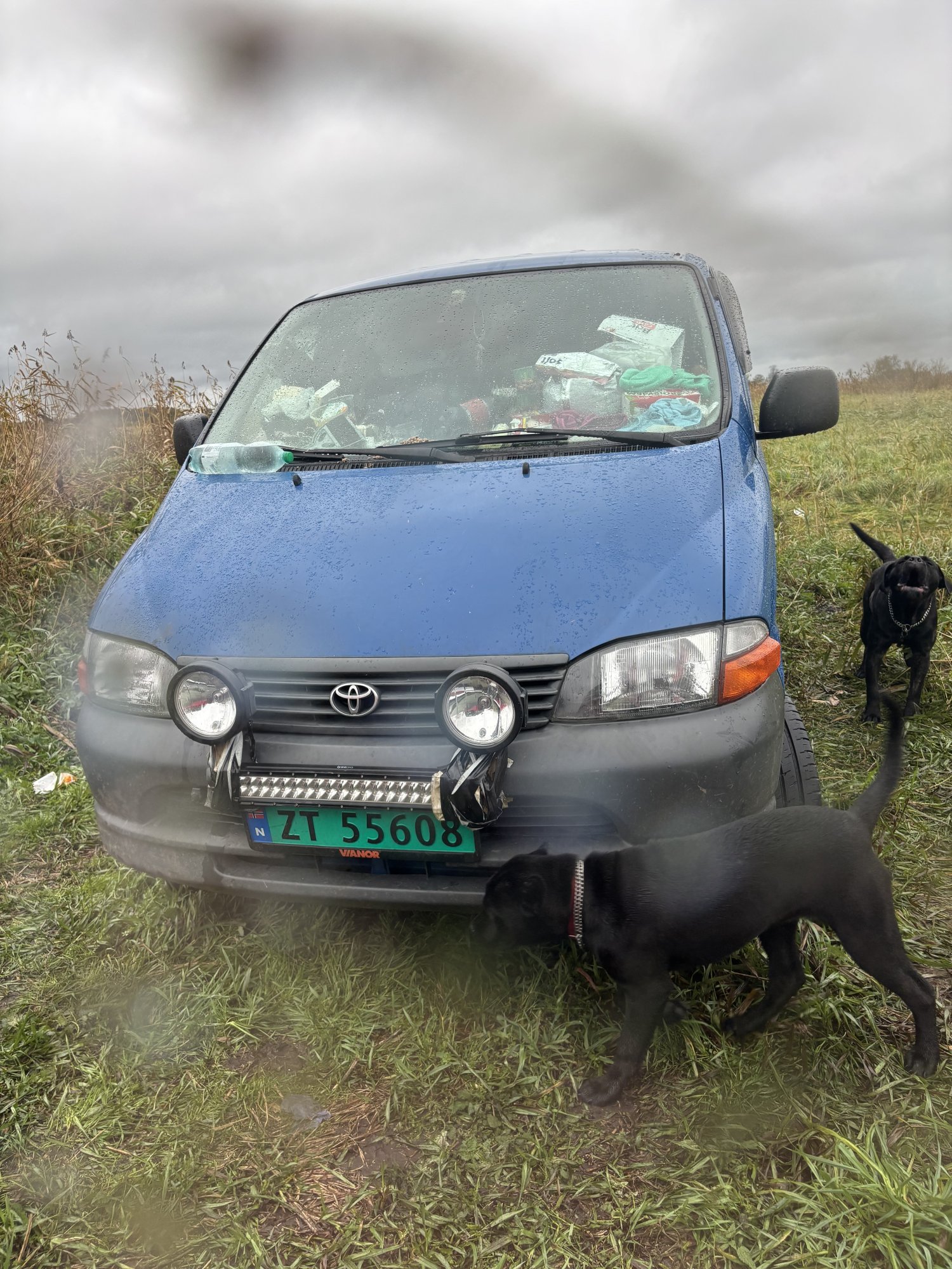 Numer rejestracyjny ZT55608 posiada TOYOTA HIACE D4D 4WD