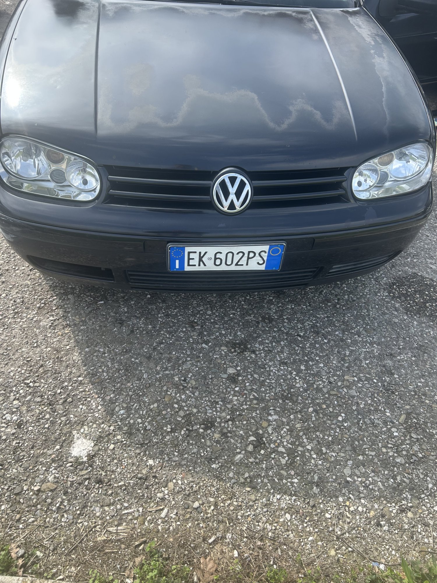 Numer rejestracyjny EK602PS posiada VOLKSWAGEN Golf 4a serie