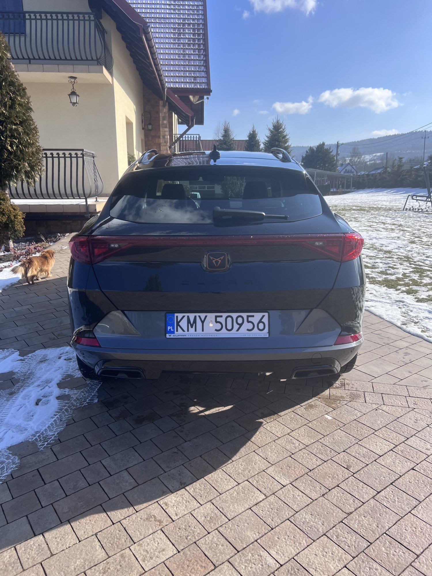 Numer rejestracyjny KMY 50956 posiada CUPRA FORMENTOR KM - KMY50956 Numer rejestracyjny KMY 50956 posiada CUPRA FORMENTOR KM - KMY50956