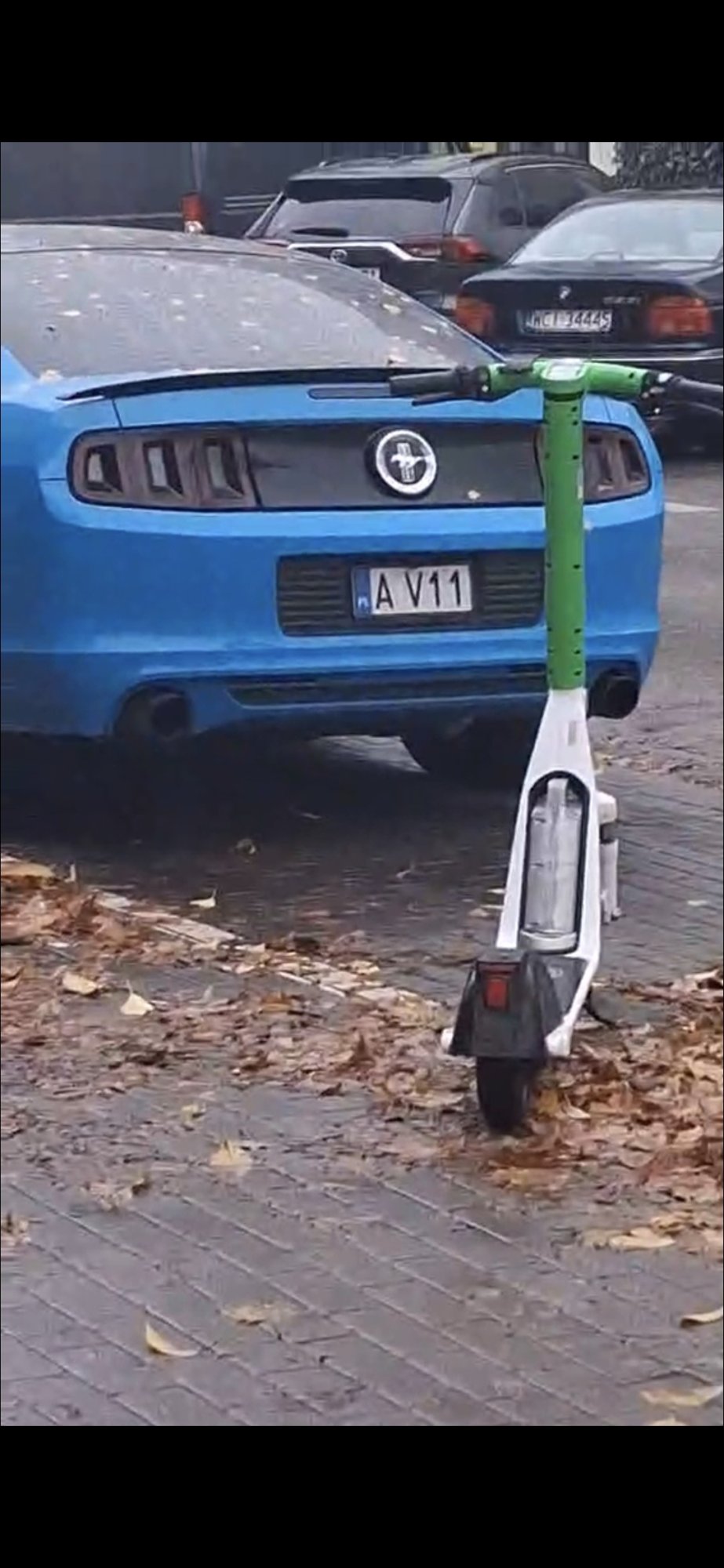 Numer rejestracyjny AV 11 posiada FORD Ka 1.2 MR`09 E4 MetalKA - AV11