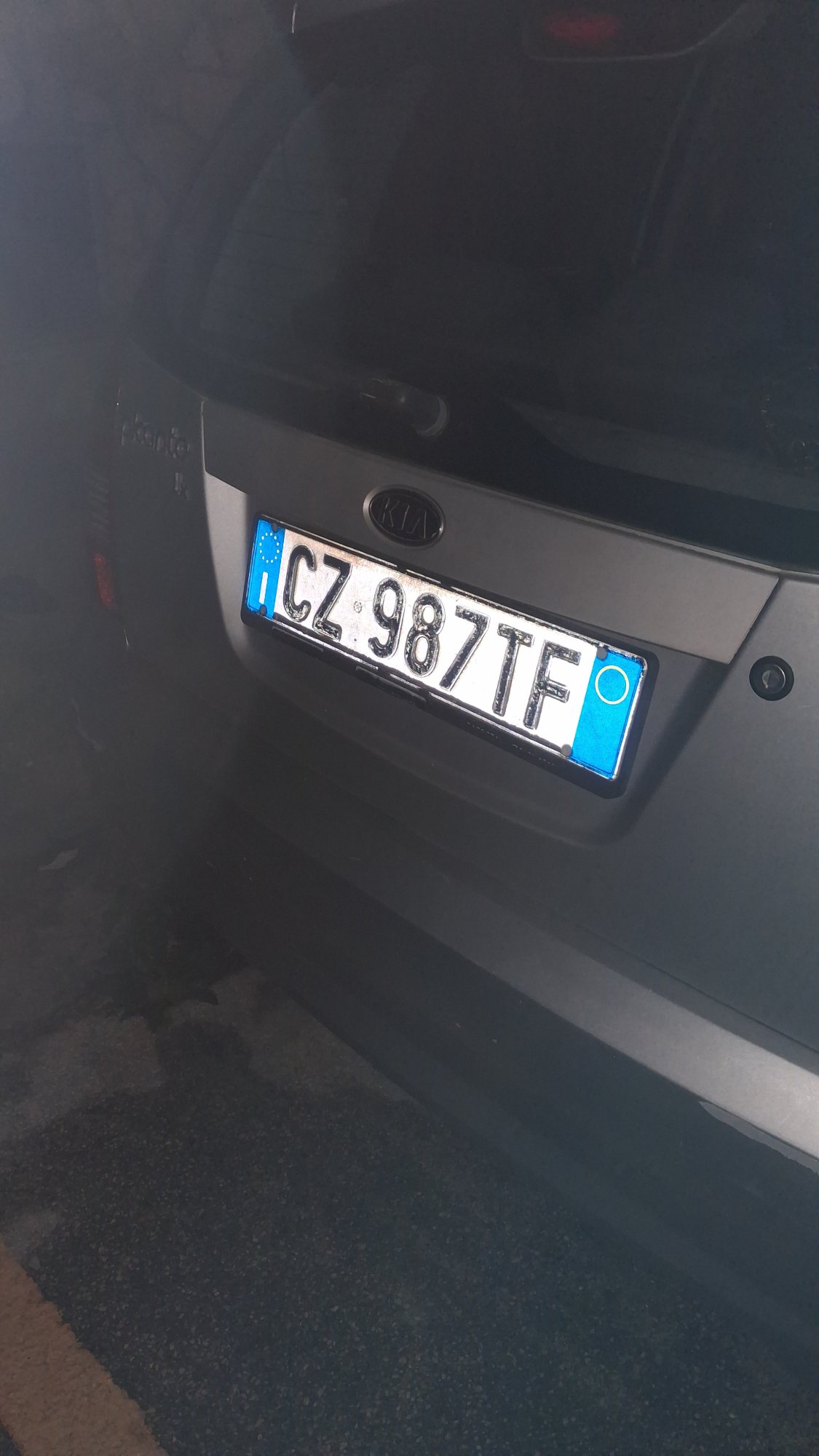 Numer rejestracyjny CZ987TF posiada KIA Carens