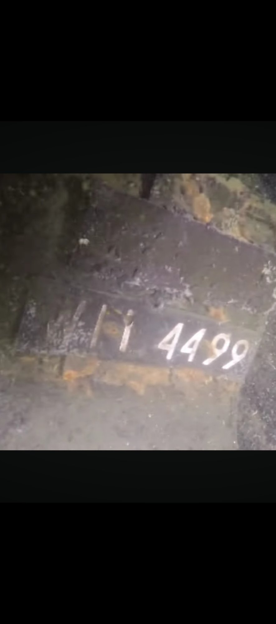 Numer rejestracyjny  posiada  