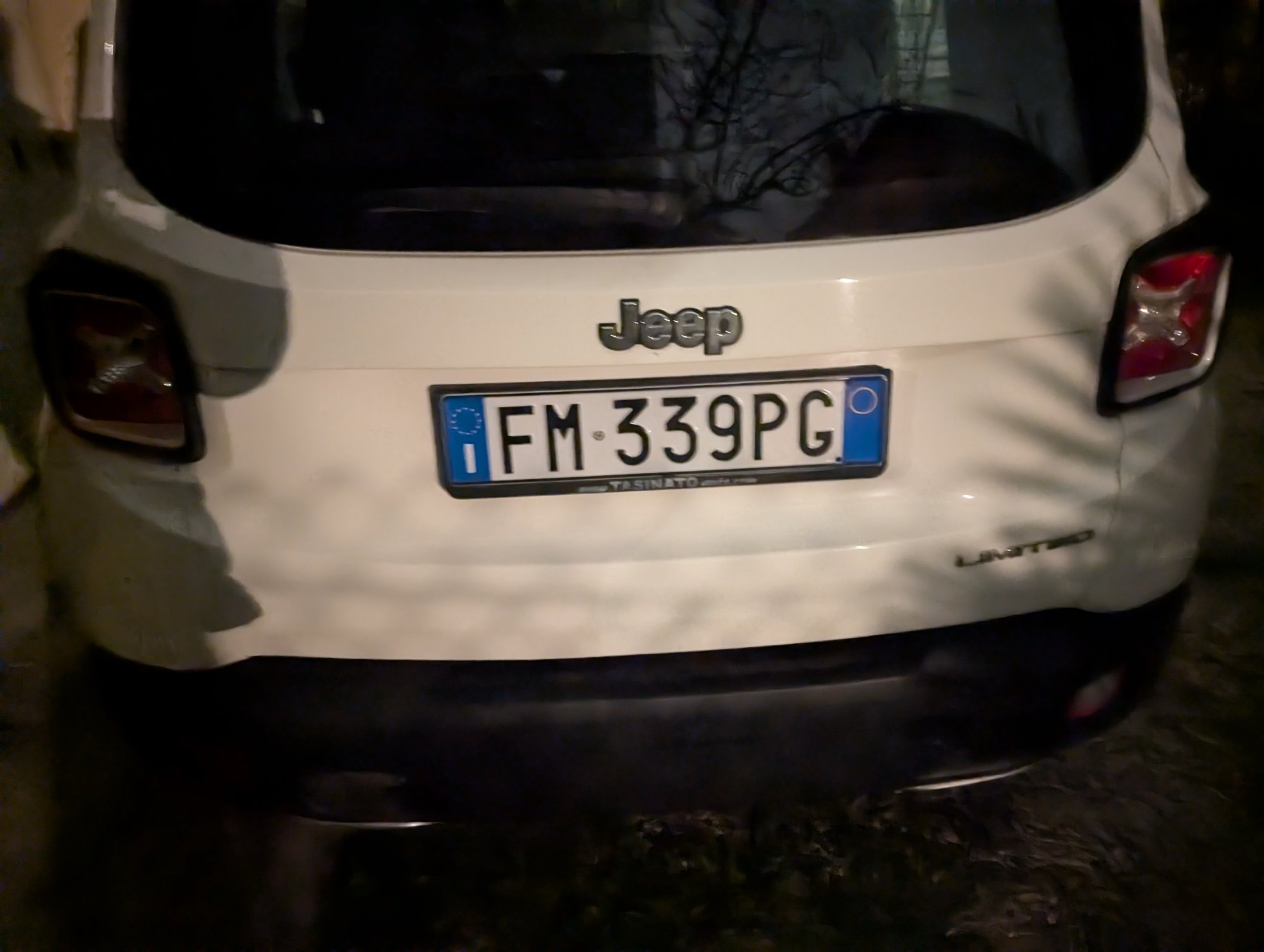 Numer rejestracyjny FM339PG posiada JEEP Renegade