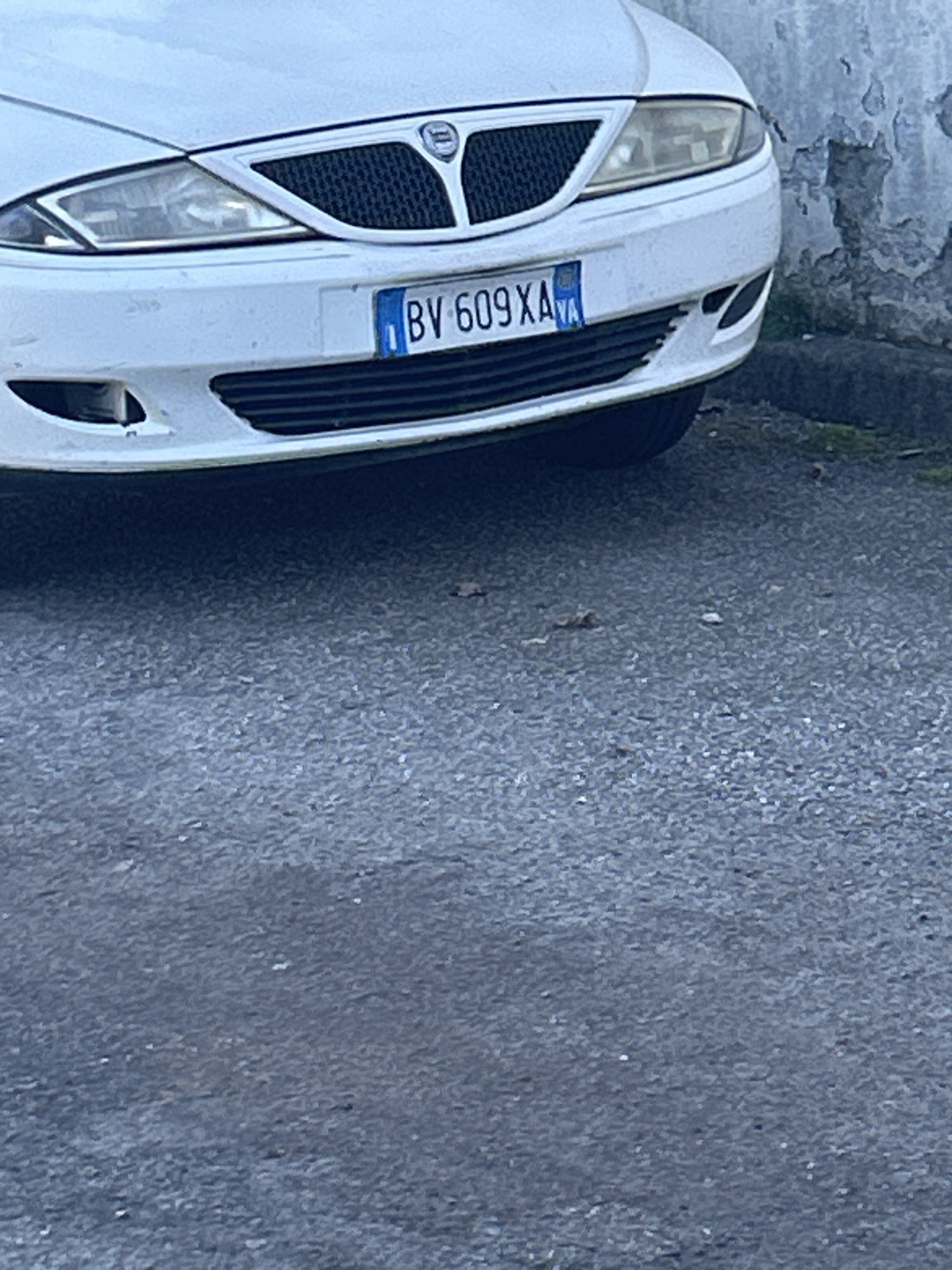 Numer rejestracyjny BV609XA posiada LANCIA Y