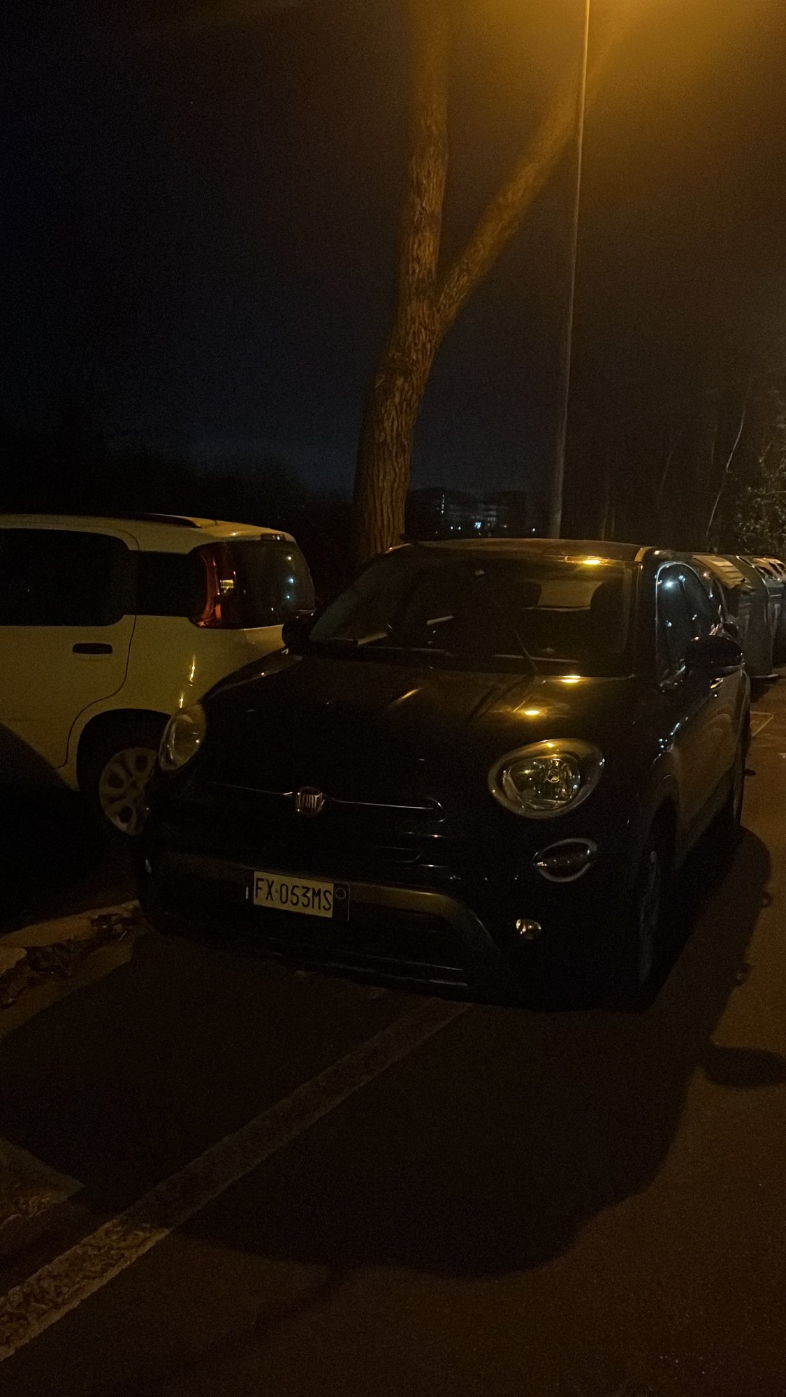 Numer rejestracyjny FX053MS posiada FIAT 500X