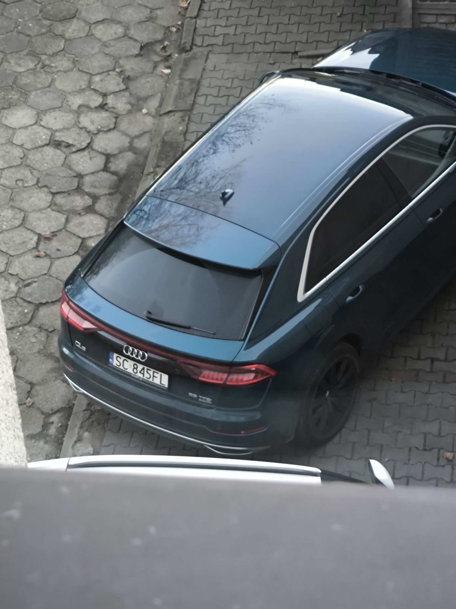 Numer rejestracyjny SC 845FL posiada AUDI Q8 - SC845FL
