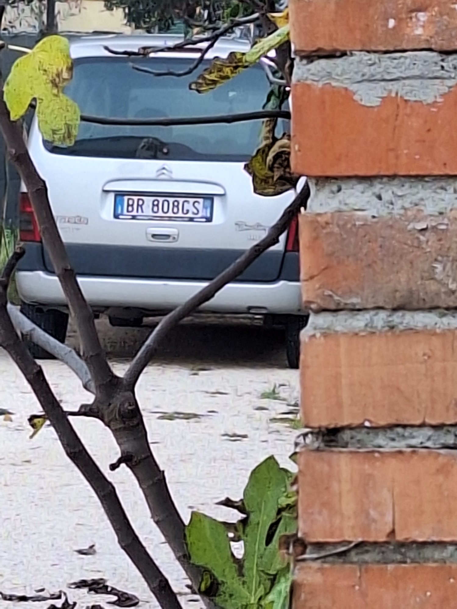 Numer rejestracyjny BR808GS posiada CITROEN Berlingo