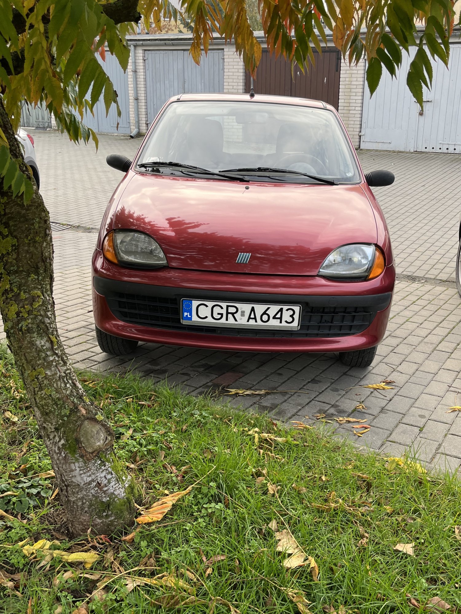 Numer rejestracyjny CGR A643 posiada FIAT Seicento 0.9 Kat. Young - CGRA643